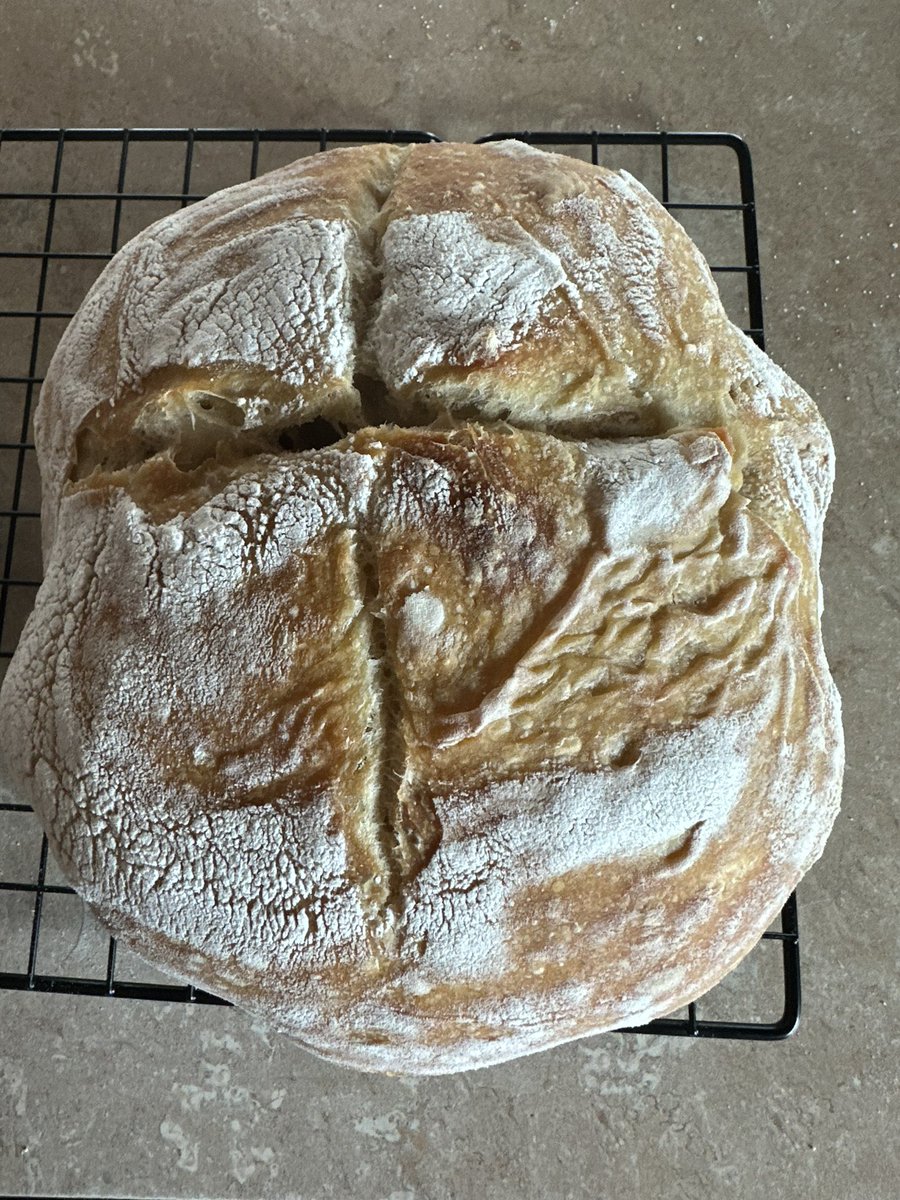 haleyfoster2's tweet photo. Dolly Starton: Classic Sourdough loaf

Bready Mercury: cinnamon Sourdough loaf - he’s a little extra

So yeah, this is our 30s 😂 https://t.co/qrZwwFzeot