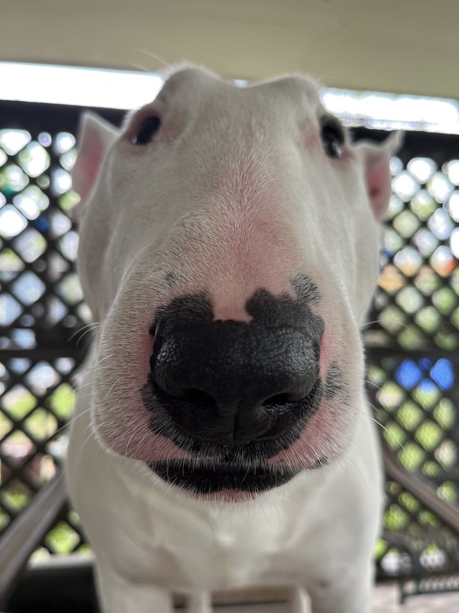 excuse me

hello

hi