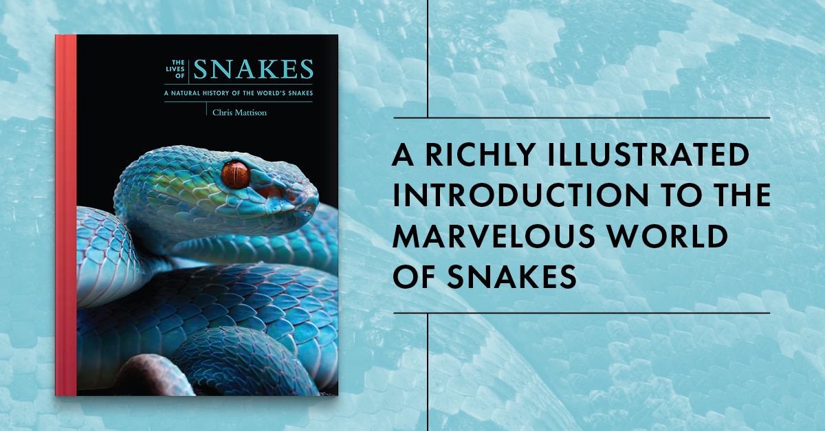 UniPressBooks's tweet photo. The Lives of Snakes is your guide to these fascinating reptiles:

🔎 Explore 4,100+ species, from venomous hunters to harmless wonders
🌍 Learn their unique senses, movement, &amp; survival strategies
📖 Marvel at stunning photos &amp; expert insights from a top herpetologist https://t.co/ZQnHtMnPsn