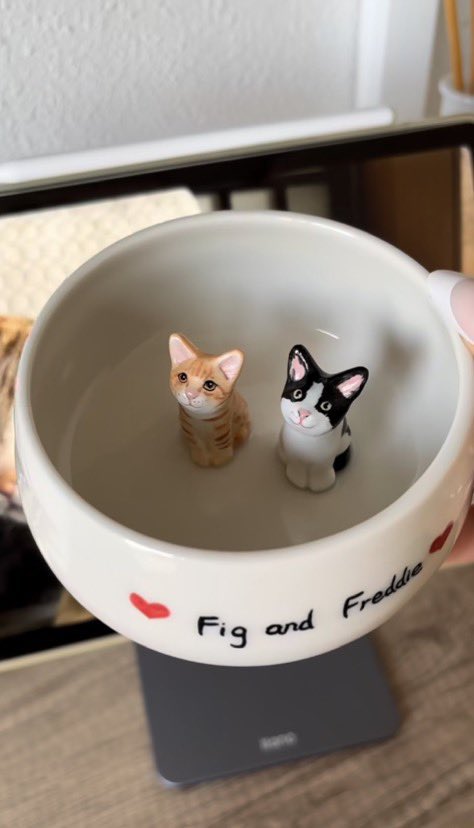 twaniimals's tweet photo. https://t.co/x71jFCqnTG
