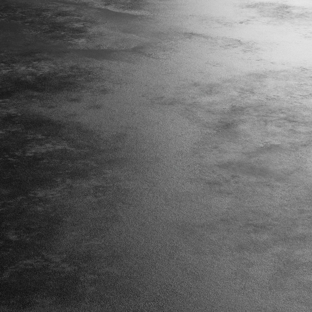 Nick Scarcella tweet media