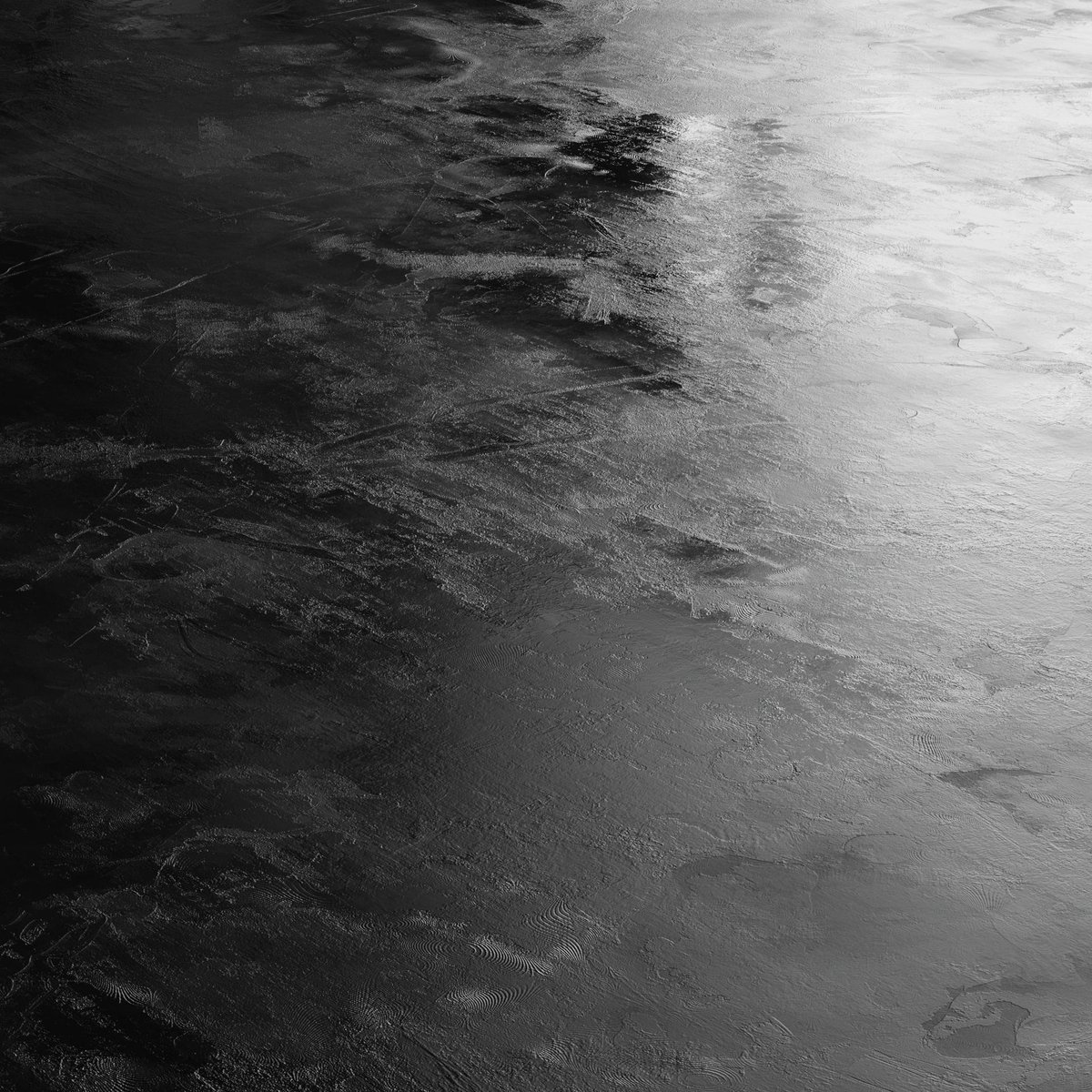 Nick Scarcella tweet media