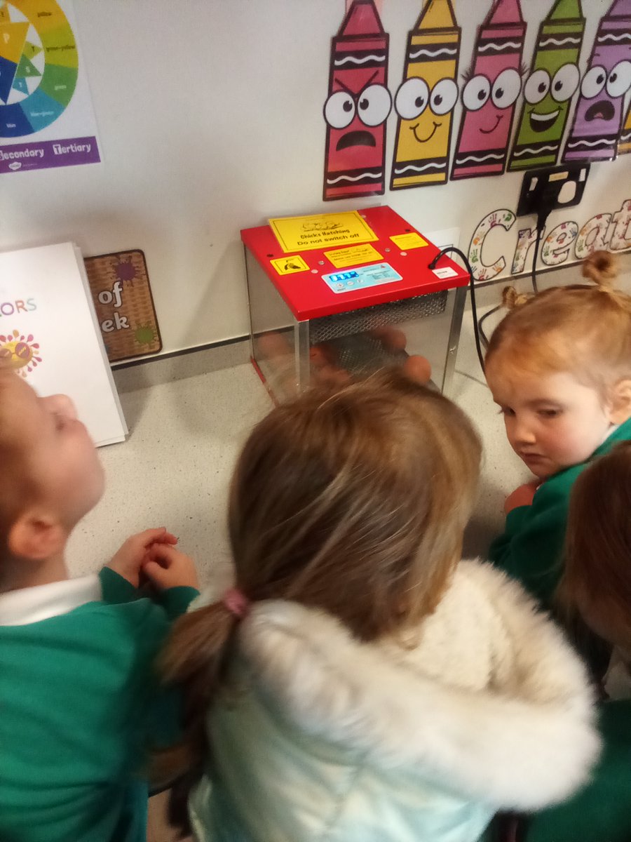 The children are very excited with our special delivery on Monday and are watching the eggs closely to see what happens. <a href="/PrimaryGreat/">Great Coates Primary</a> #gcpscience #gcpearlyyears
