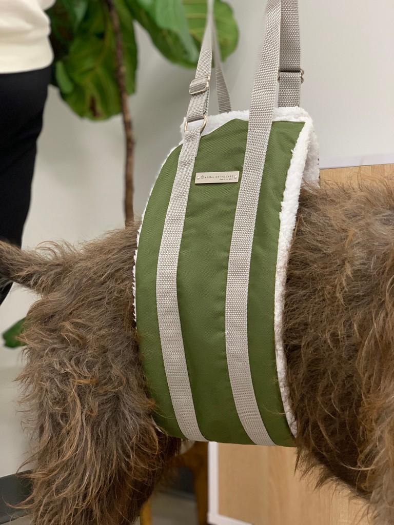 Need a lift? 💪🐶 Support and comfort are just a sling away! 🐕️🐾💚

#rearliftingsling #dogsling #recovery #doghealth #spinalsupport #support #doglegsupport #paintreatment #painrelief #ivdd #hydrotherapy #arthritis #doghippain #painrelieffordogs #assistance