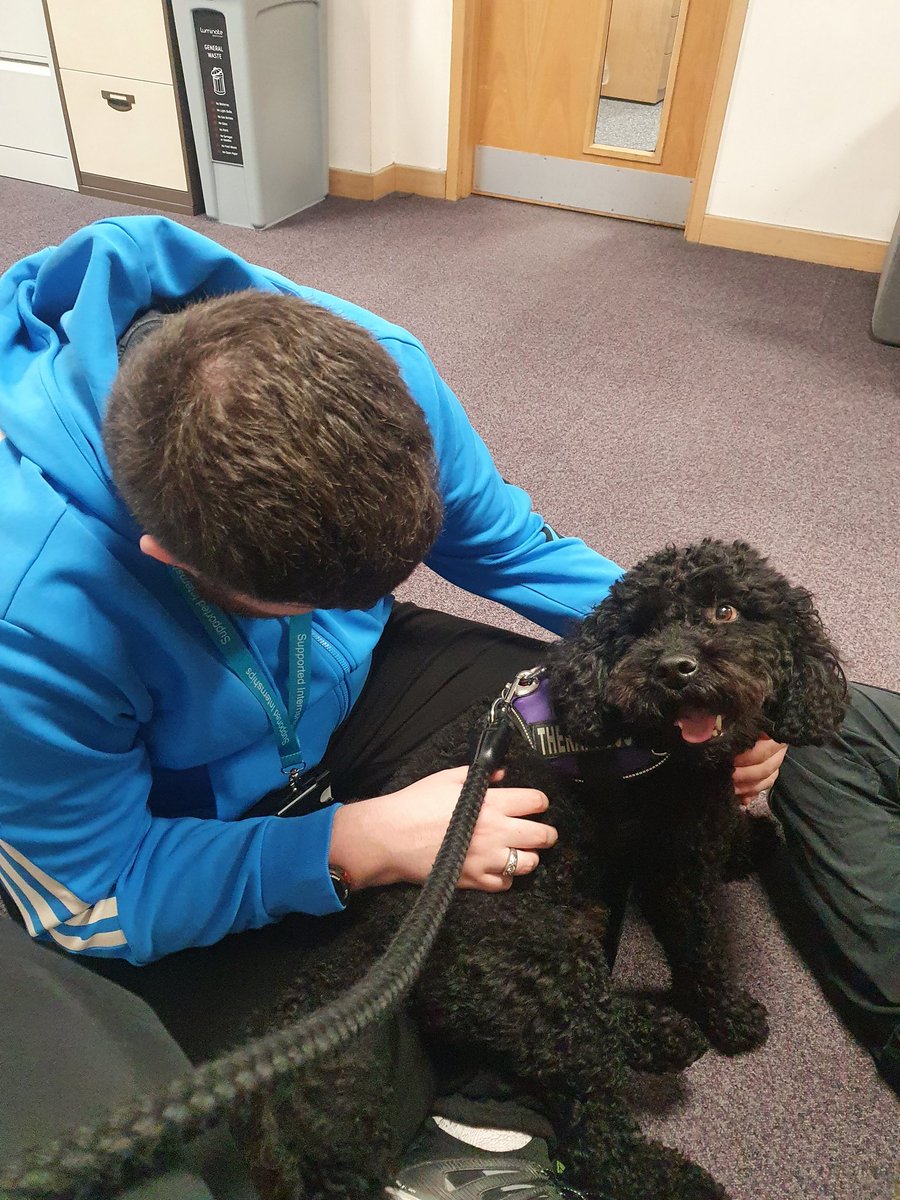 Thanks to our therapy dog, Henry for cuddles and comfort prior to students completing their Mock GCSE exam today!