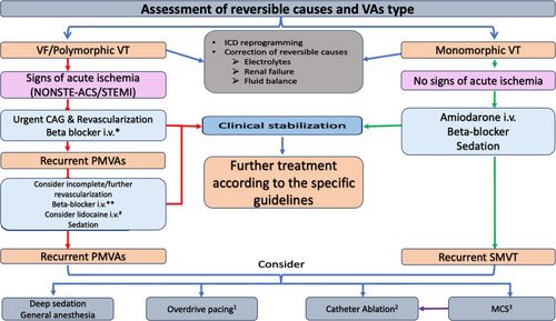 Edgardo Alania tweet media