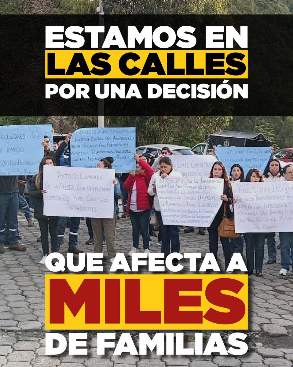 SEMILLEROS EFB tweet media