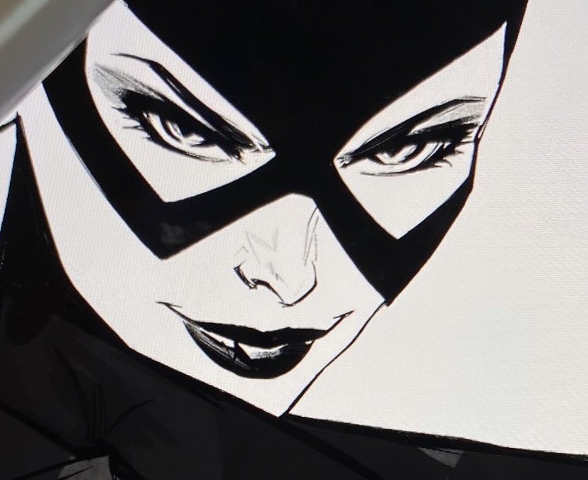 _caterinamazzei's tweet photo. Catwoman #comics #catwoman #artwork #ink https://t.co/jGwldJcbjT