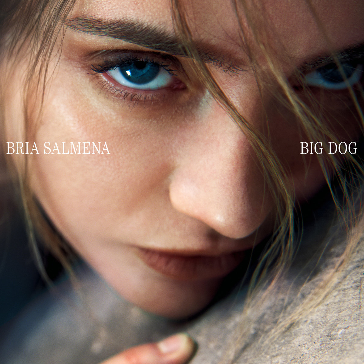 Bria Salmena drops her new album Big Dog on March 28th via Royal Mountain/Sub Pop Records. Read Leslie Ken Chu's review of the LP northerntransmissions.com/bria-salmena-b… #BriaSalmena
