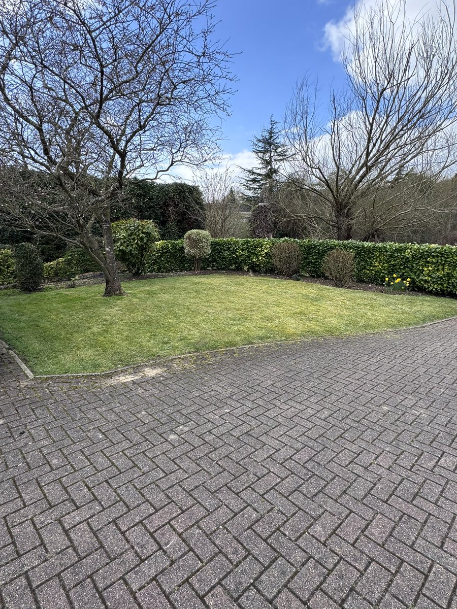 DH_Maintenance's tweet image. Then the #neverending #scarifying at the moment with the @AllettMowers  Classic &amp;amp; #scarifier cartridge - removed so much - will need to go again before getting #treatment down 👍 have a good evening everyone ❤️