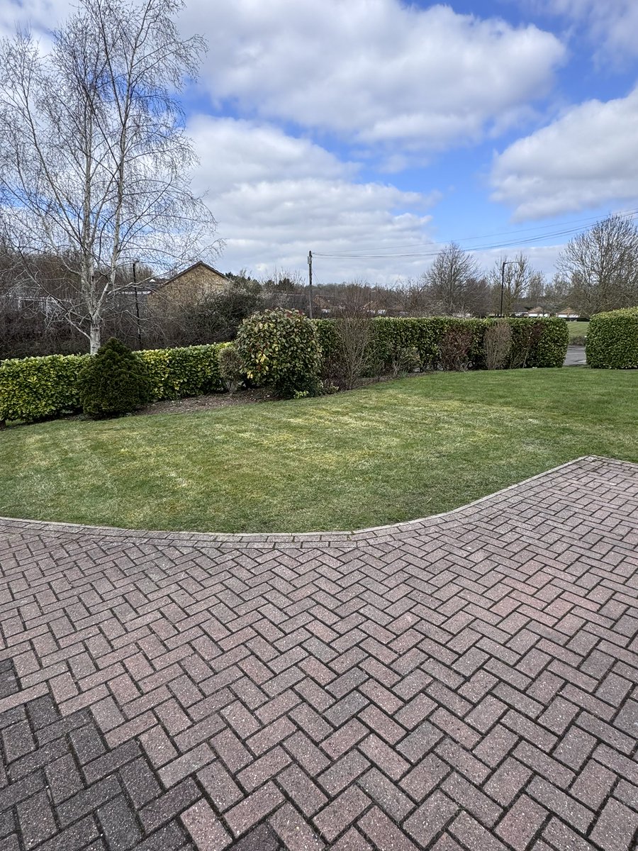 DH_Maintenance's tweet image. Then the #neverending #scarifying at the moment with the @AllettMowers  Classic &amp;amp; #scarifier cartridge - removed so much - will need to go again before getting #treatment down 👍 have a good evening everyone ❤️