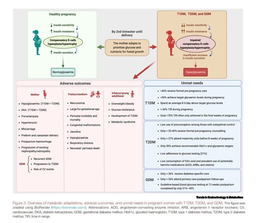 redGDPS's tweet photo. "Managing #diabetes across female reproductive stages"
"Manejo de la diabetes en las etapas reproductivas femeninas"
Revisión sobre manejo de la diabetes en función de las diferentes fases reproductivas de las mujeres.

https://t.co/2Ge3s0yod7 https://t.co/C13KNJhmGg