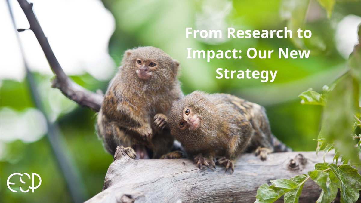 We’ve been looking ahead – last week we shared the very first look at our guiding strategy in our newsletter✨

Missed it? Catch up below &amp; join our mailing list to always get our latest updates👇🏽
mailchi.mp/dd109cf2828d/y…