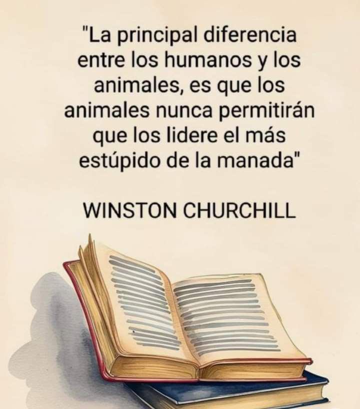 FabriVillamarC's tweet photo. Si Señor! https://t.co/1yVsl1XyU9