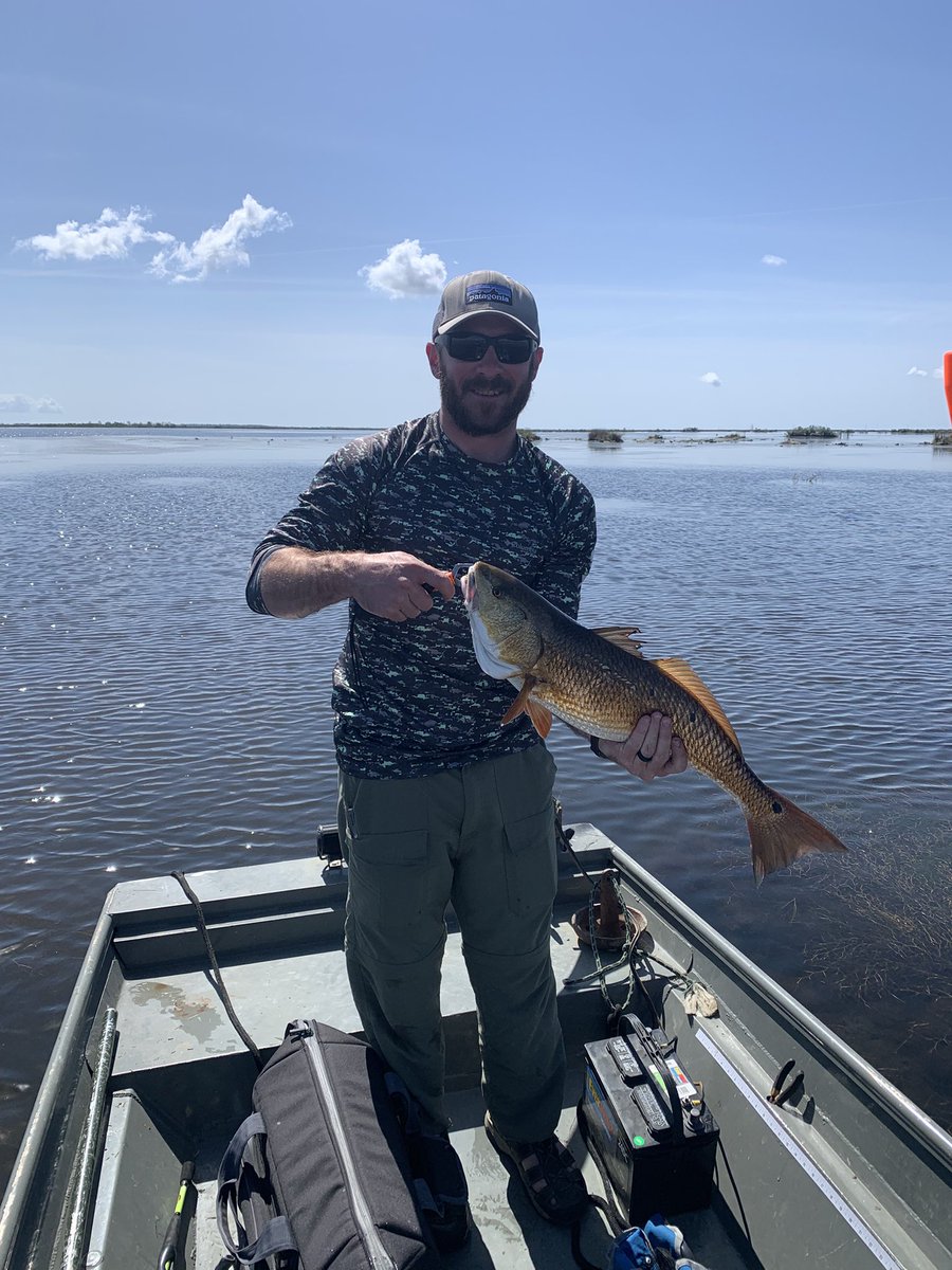 Tim Lawrence tweet media