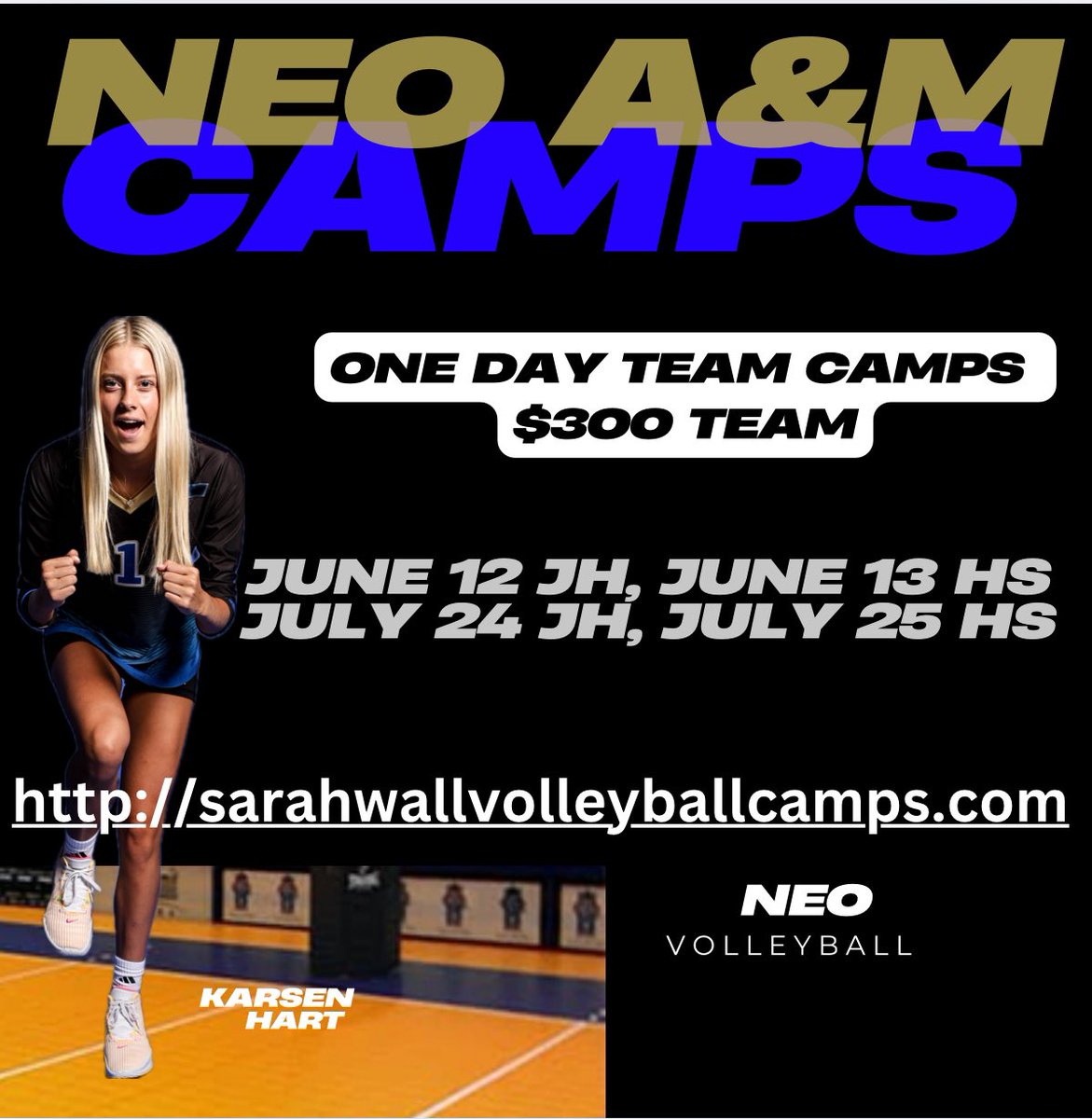 One day TEAM CAMPS! $300 per team 16 teams per day. 4-4 team pools, cross pool then 2-8 team single elimination brackets. Guarantee 5 matches  contact Coach Sarah Wall 417-621-8446
