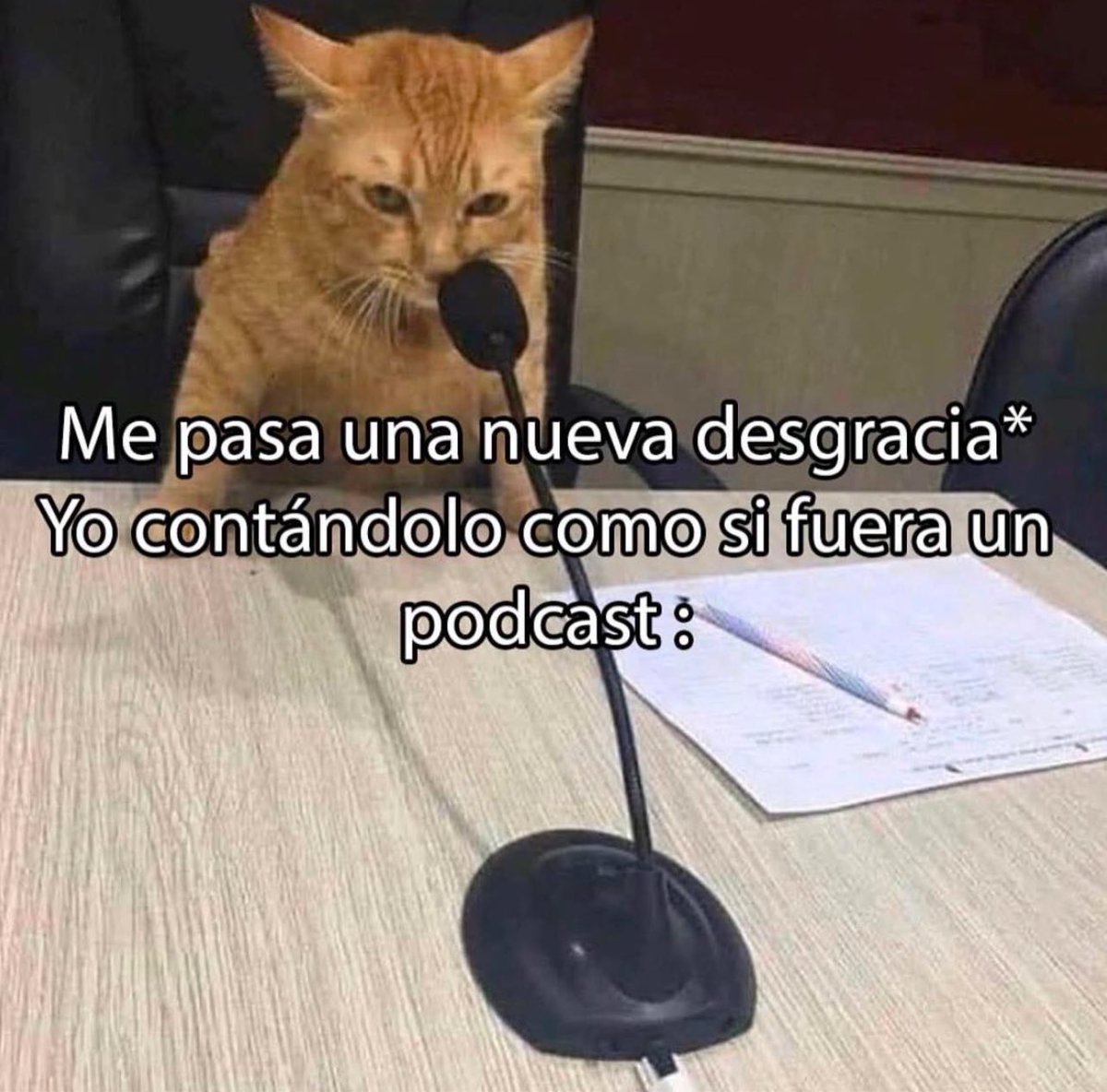 Efectivamente.