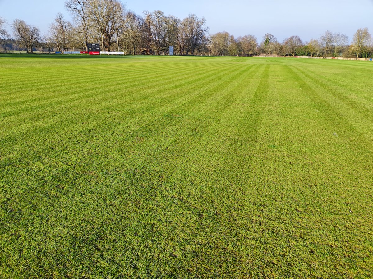 Chris Johnson (@chrisjohns32540) on Twitter photo Hectic week on the ground at <a href="/KnebParkCC/">Knebworth Park CC</a> - verticutting, cut, overseeding and rolling. Thanks to feeds through winter of Terralift and Aitkens is looking vibrant with no pre season granular done yet! Hectic week on the ground at <a href="/KnebParkCC/">Knebworth Park CC</a> - verticutting, cut, overseeding and rolling. Thanks to feeds through winter of Terralift and Aitkens is looking vibrant with no pre season granular done yet!