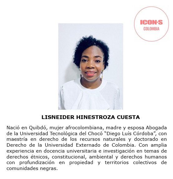 Perfil de integrantes de Icon-S para conformar la terna como Magistrad@s de la Corte Constituciinal