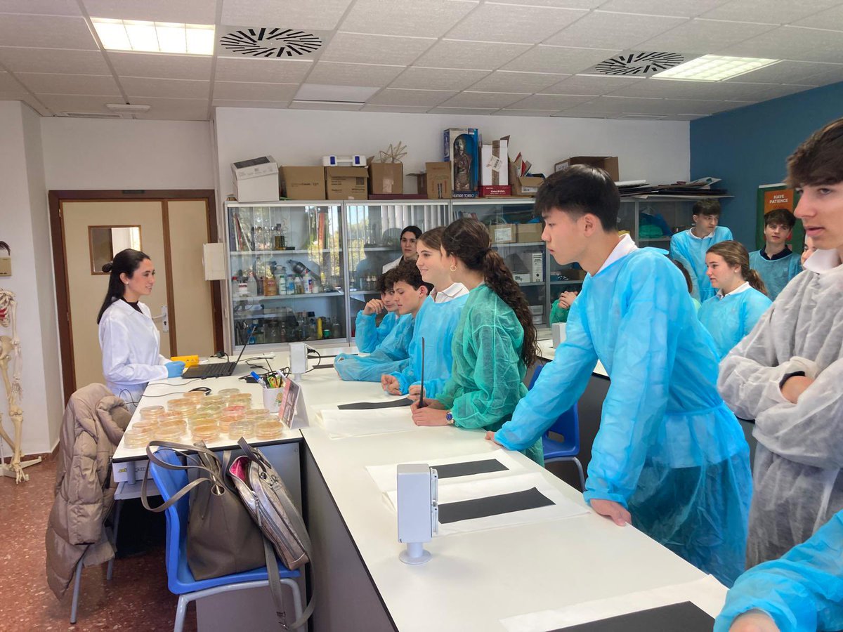 SWICEU/MicroMundoCEU tweet media