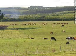 Los que amenazaron a Udelar, llegando a la fvet