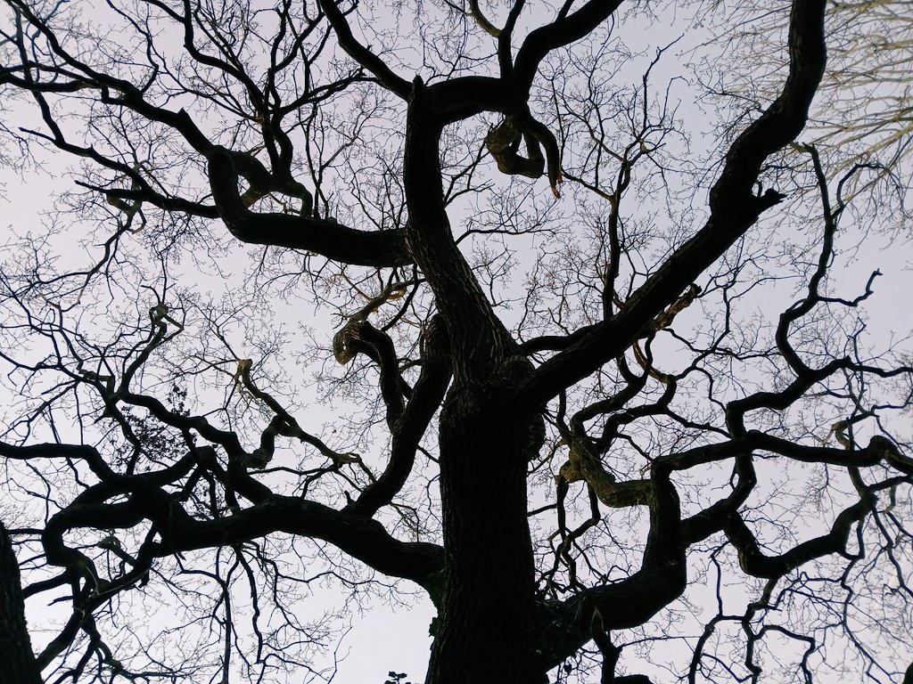 Psychojographer tweet media