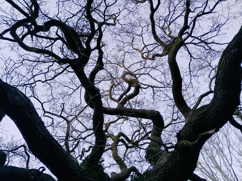 Psychojographer tweet media