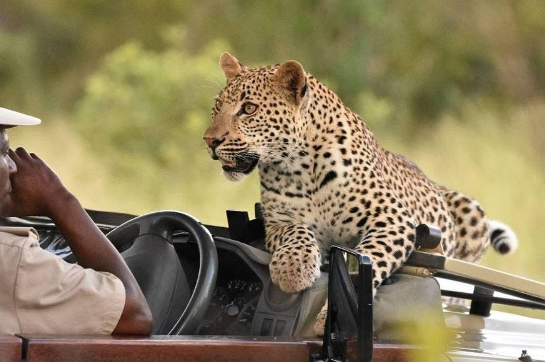 Machete Bvuma (@bvumamache32010) on Twitter photo 