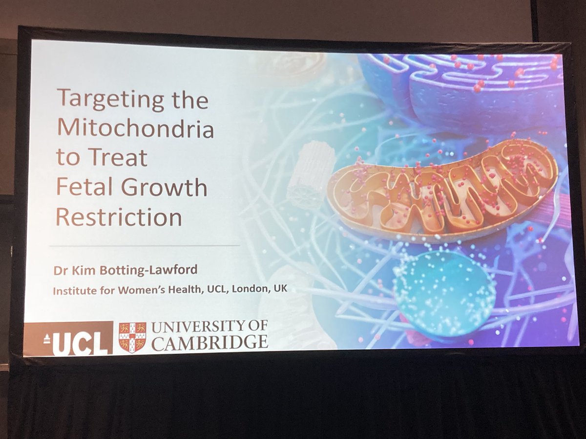 Anna David tweet media