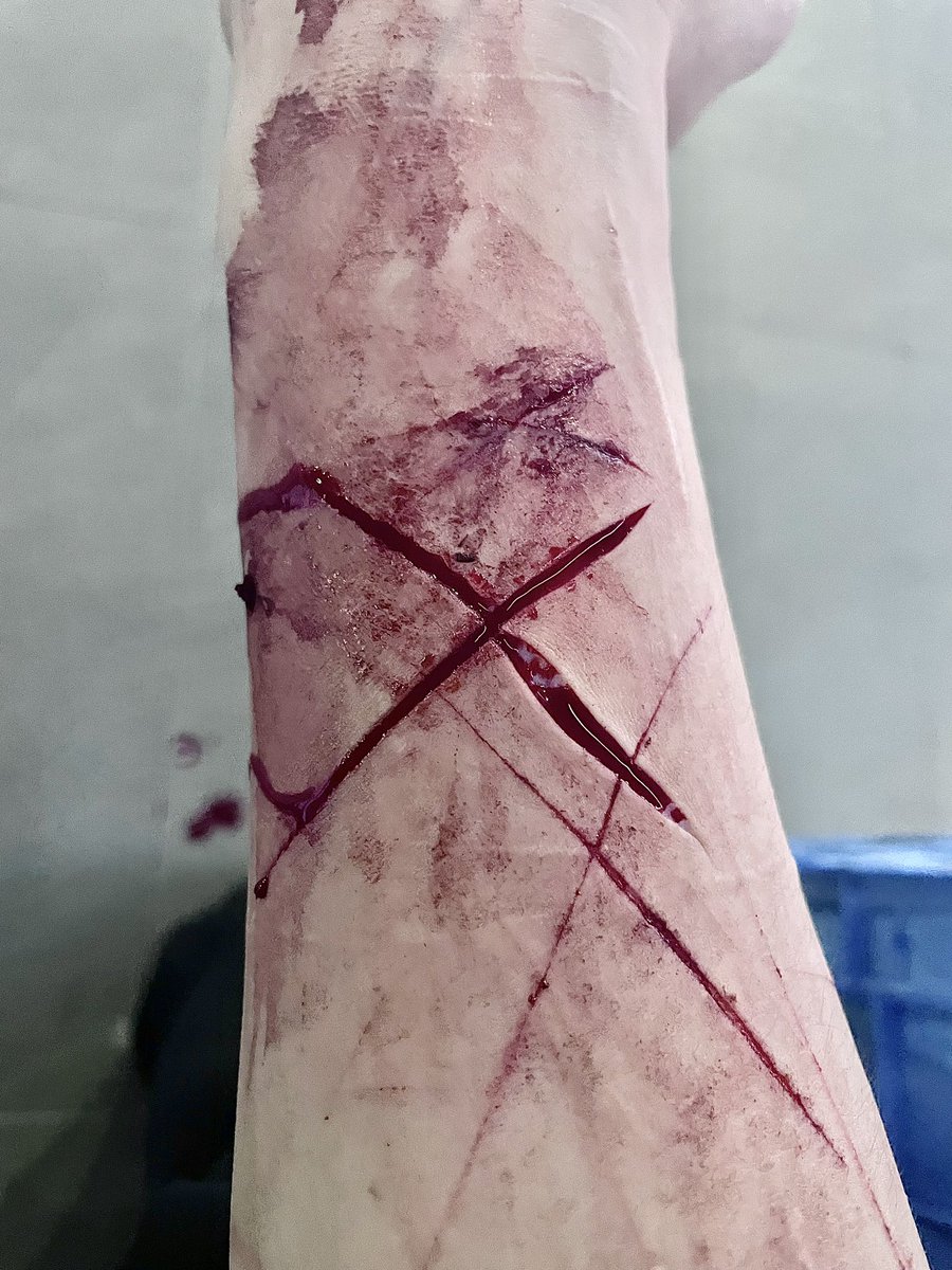 X_SMINIkill's tweet photo. https://t.co/bIbaNmtAnL
