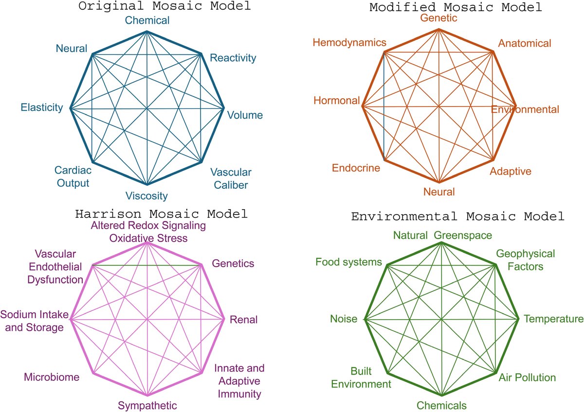 REVIEW: Environmental Hypertensionology and the Mosaic Theory of Hypertension

ahajrnls.org/41ZKNE3