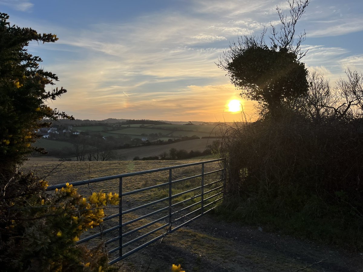 EvocativeCorn's tweet image. Loving the Spring (almost!) mornings.