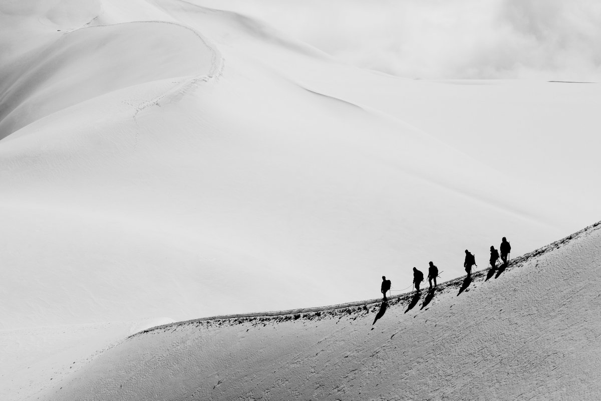 CX-Excellence / Michael Brandt tweet media