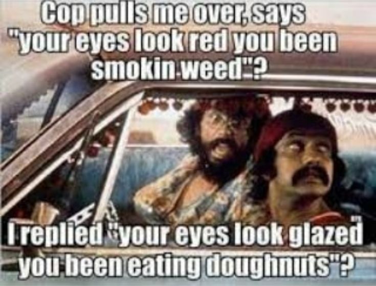 treehousecult's tweet image. I rolled a blunt so perfect even Michelangelo would be jealous. #ArtInMotion #BluntMasterpiece bit.ly/2EgJGsg