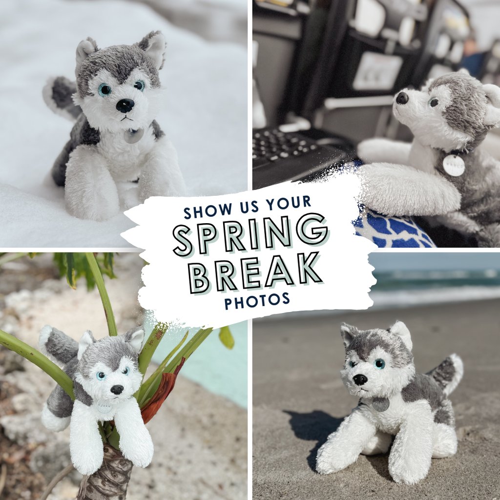 hemlockps's tweet image. Spring Break is only halfway through. ☀️ Whether you're enjoying the sun, sand, sea, or snow, we want to see your favorite moments so far. Drop your best Spring Break photo in the comments. 📸✨ 
#HemlockHuskies #BringTheMagic #HemlockStrong #Since1863