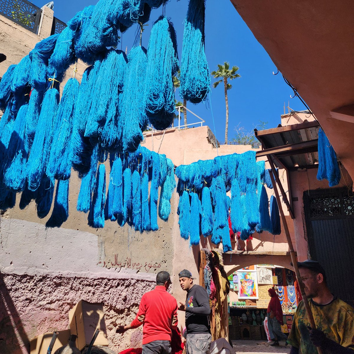 Audrie | MiBrava tweet media