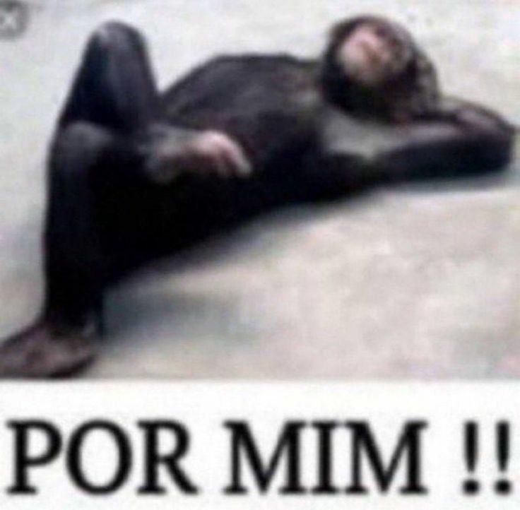 looksliikelucy's tweet photo. sabrina: vou rebolar em você 
o pedro pascal: https://t.co/xUf1w3xYJk