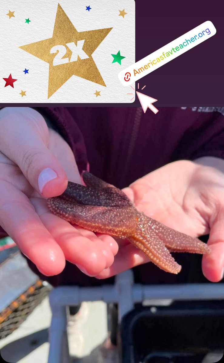 Votes count for double today! americasfavteacher.org/2025/christine…