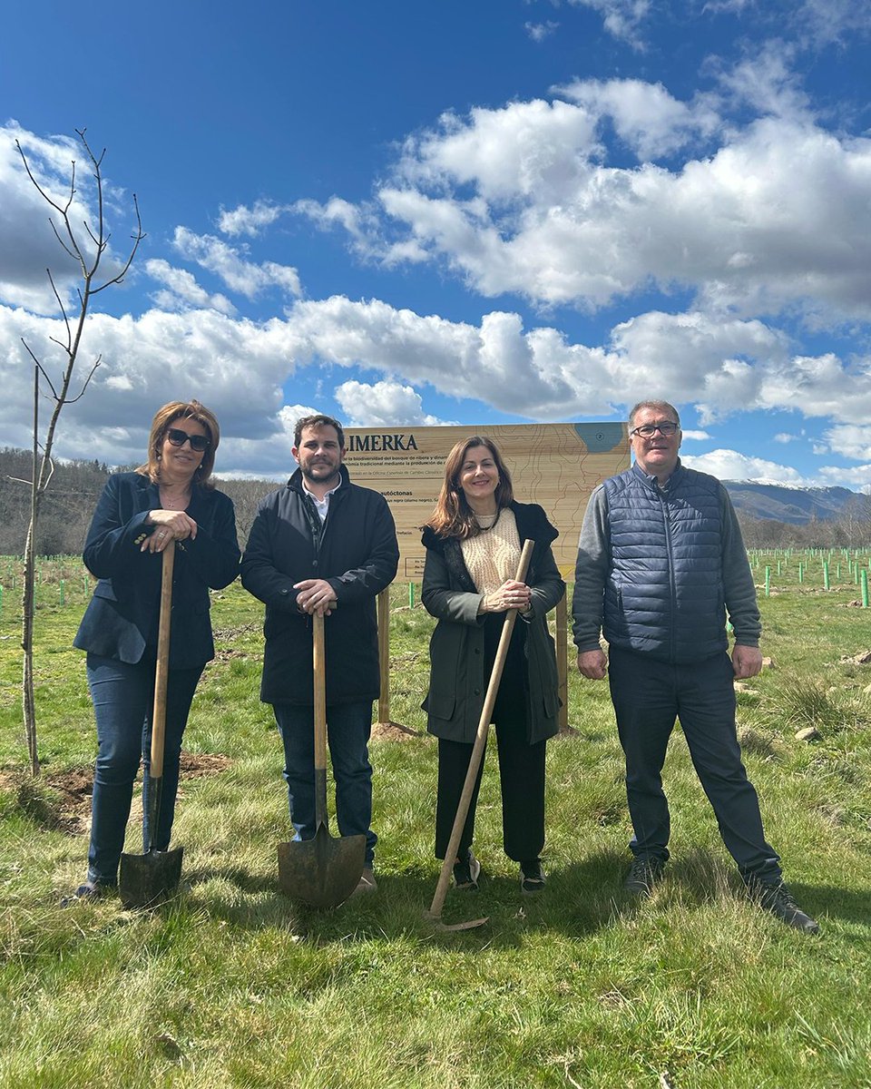 alimerka's tweet photo. Ya tenemos nuevo bosque, y esta vez... ¡con acento zamorano!

En Trefacio hemos plantado 4.800 árboles en 6,47 hectáreas para cuidar la biodiversidad, apoyar la tradición castañera y compartir los frutos con los vecinos 🍂

Nos comprometemos con la sostenibilidad y decimos "Sí, quiero" a un futuro más responsable. 💛

#BosqueAlimerka #SíQuiero #Zamora #Sostenibilidad