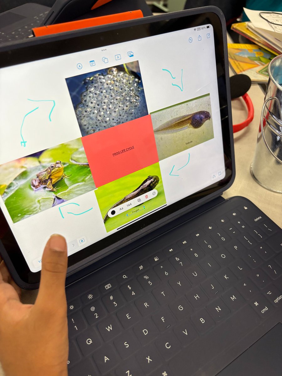 KellyMartinITF's tweet image. 2nd Grade @PrairieTrailES used the app Freeform to show their learning about life cycles. 🎉 #DigitalLisd #LisdScience