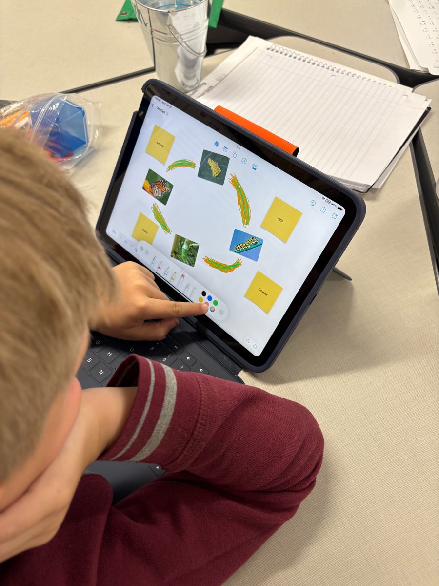 Kelly Martin (@kellymartinitf) on Twitter photo 2nd Grade <a href="/PrairieTrailES/">Prairie Trail Elementary</a> used the app Freeform to show their learning about life cycles. ๐ #DigitalLisd #LisdScience 2nd Grade <a href="/PrairieTrailES/">Prairie Trail Elementary</a> used the app Freeform to show their learning about life cycles. ๐ #DigitalLisd #LisdScience