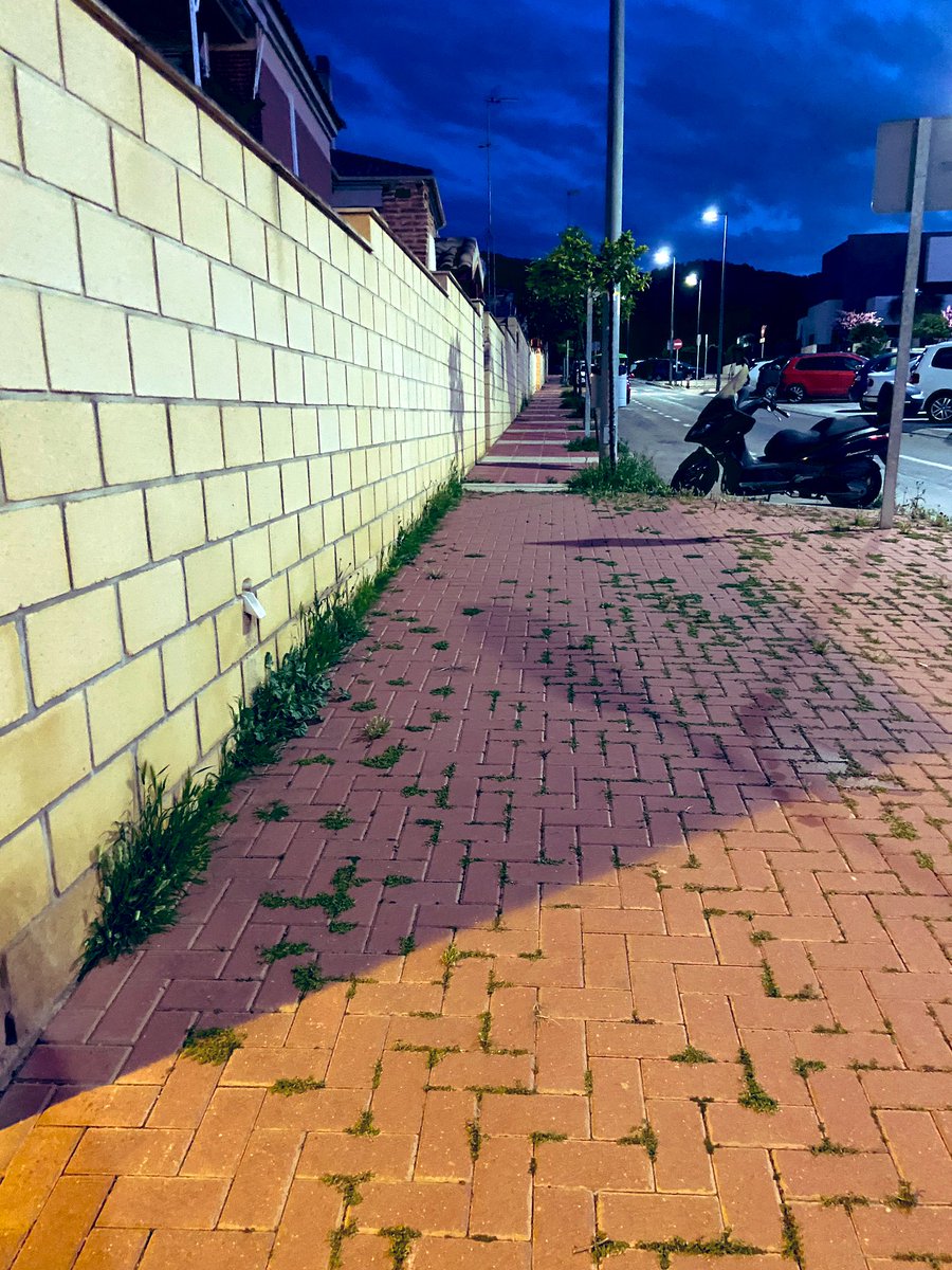 Carmen Peña tweet media