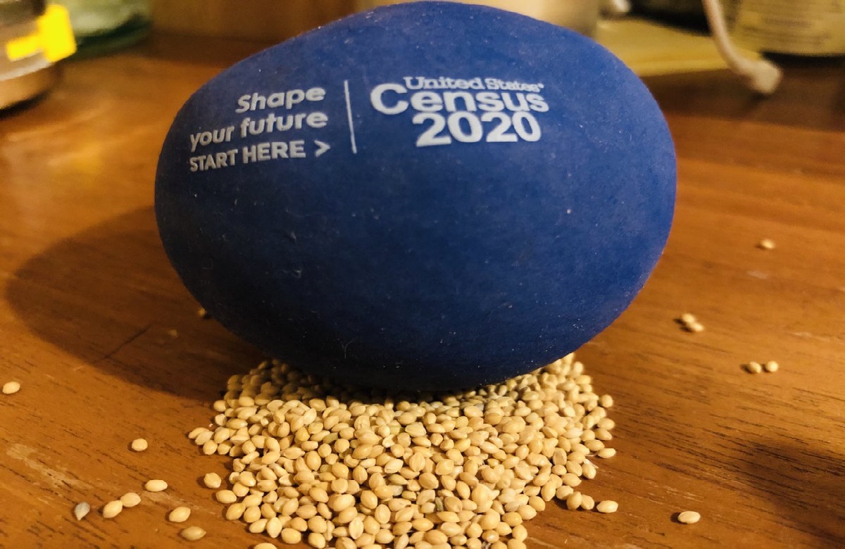 the #2030census vibe r n