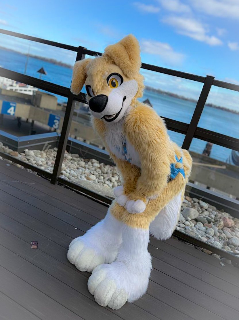 🐶 ⛵Streaming tonight (Mar 26th) at 7:30PM EST ⛵🐶

On tonight's episode Custard returns from Furnal Equinox reinvigorated and ready to set sail for adventure!

Tune in on Twitch for a fursuit chat followed by Vtubing and Small Saga