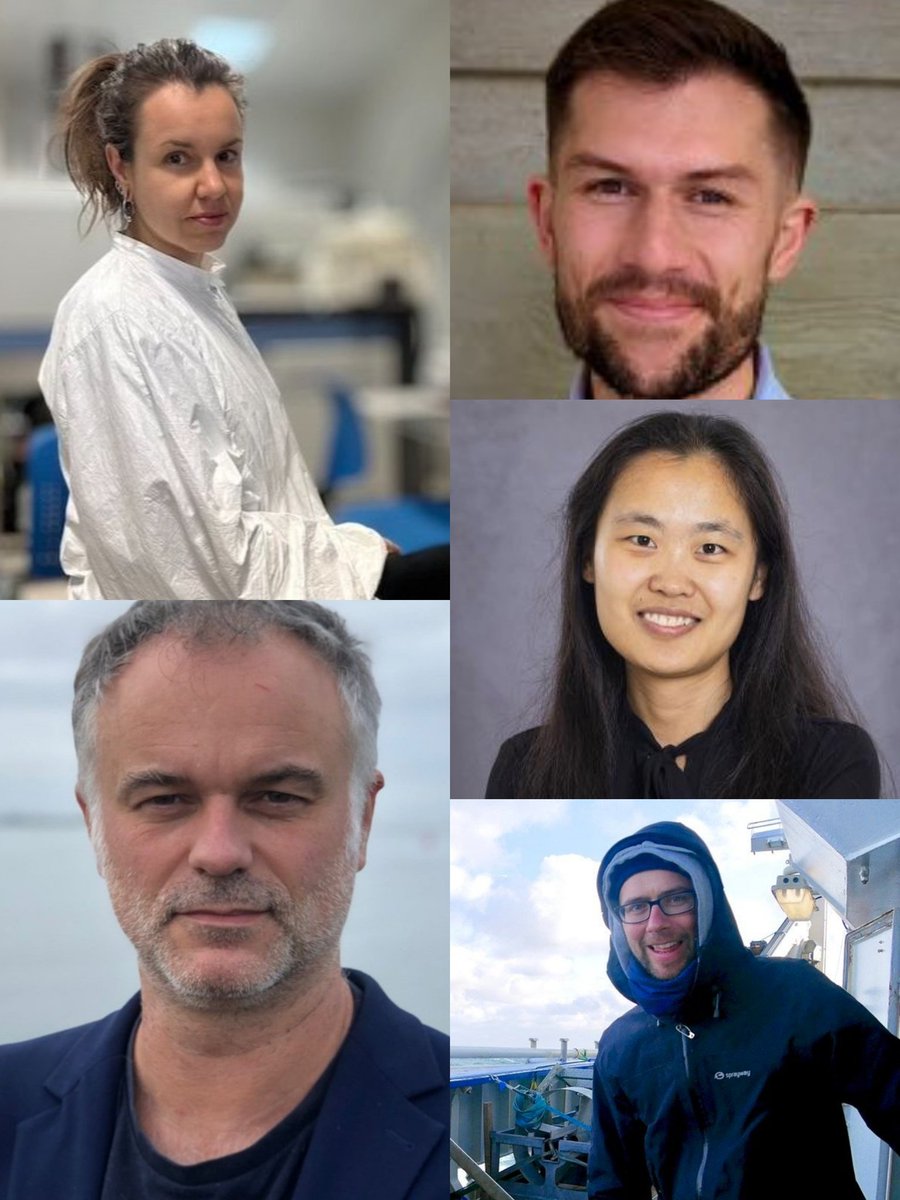 🎤 Featuring #ICP15 speakers on Innovations in Paleoceanography 🔬

Hana Jurikova (Univ. of St Andrews) 🇬🇧

Lennart De Nooijer (NIOZ)  🇳🇱

Matt Osman (Univ. of Cambridge) 🇬🇧

Yi Wang (Tulane Univ.) 🇺🇸

Martin Ziegler (Utrecht Univ.) 🇳🇱

Register here
🔗icp15.com