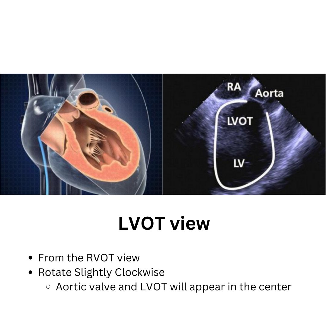 Peter Blahut tweet media