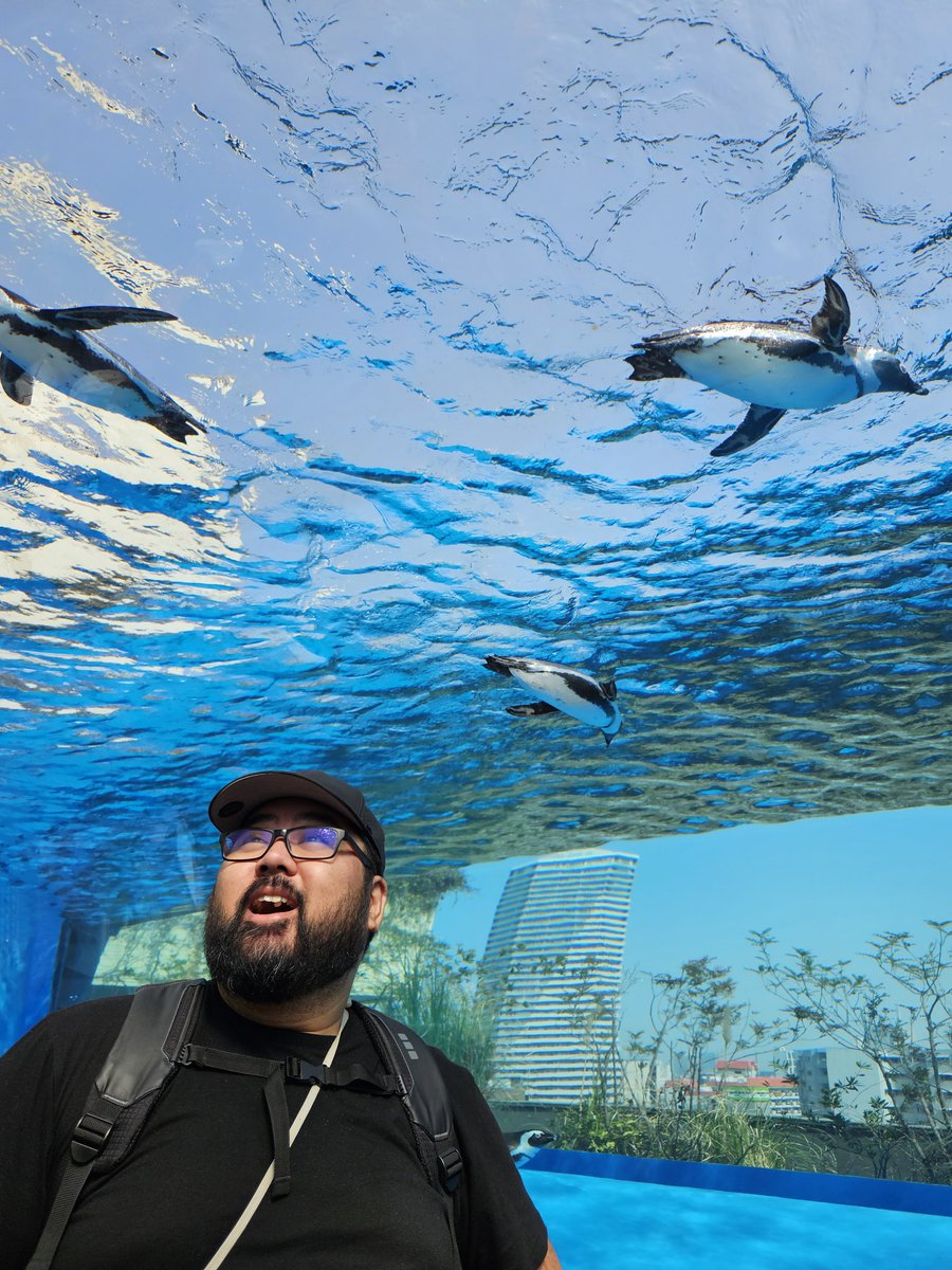 Revy_C's tweet image. Japan Day 12

Aquarium and spending the last of my yen at multiple arcades.

Dumped like 30 bucks trying to get a cool claw machine prizes but I got NOTHING