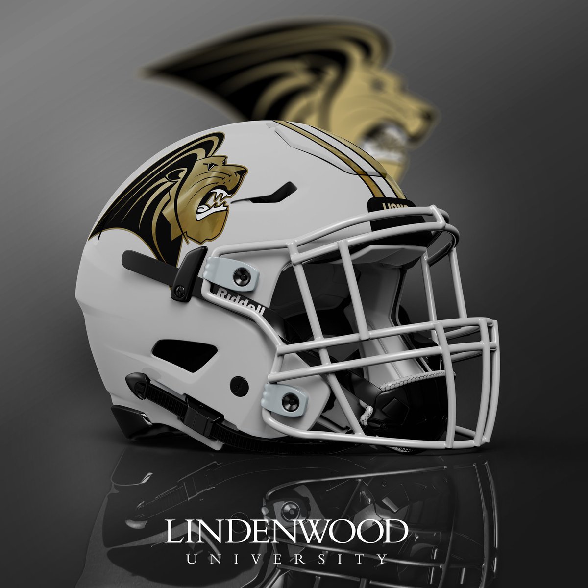 Blitz McCarty tweet media