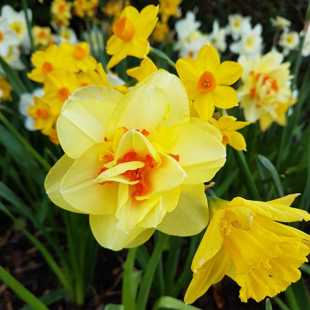 😍 Spring and Summer at Baswick Cottages!
Great deals available when you book directly!
✅ Private hot tub
✅ Log burner
✅ Dog friendly
✅ Beautiful decor
✅ Amazing walks
✅ Paddle boarding, fishing, jet skiing
- mailchi.mp/2fecb187c7c8/s…