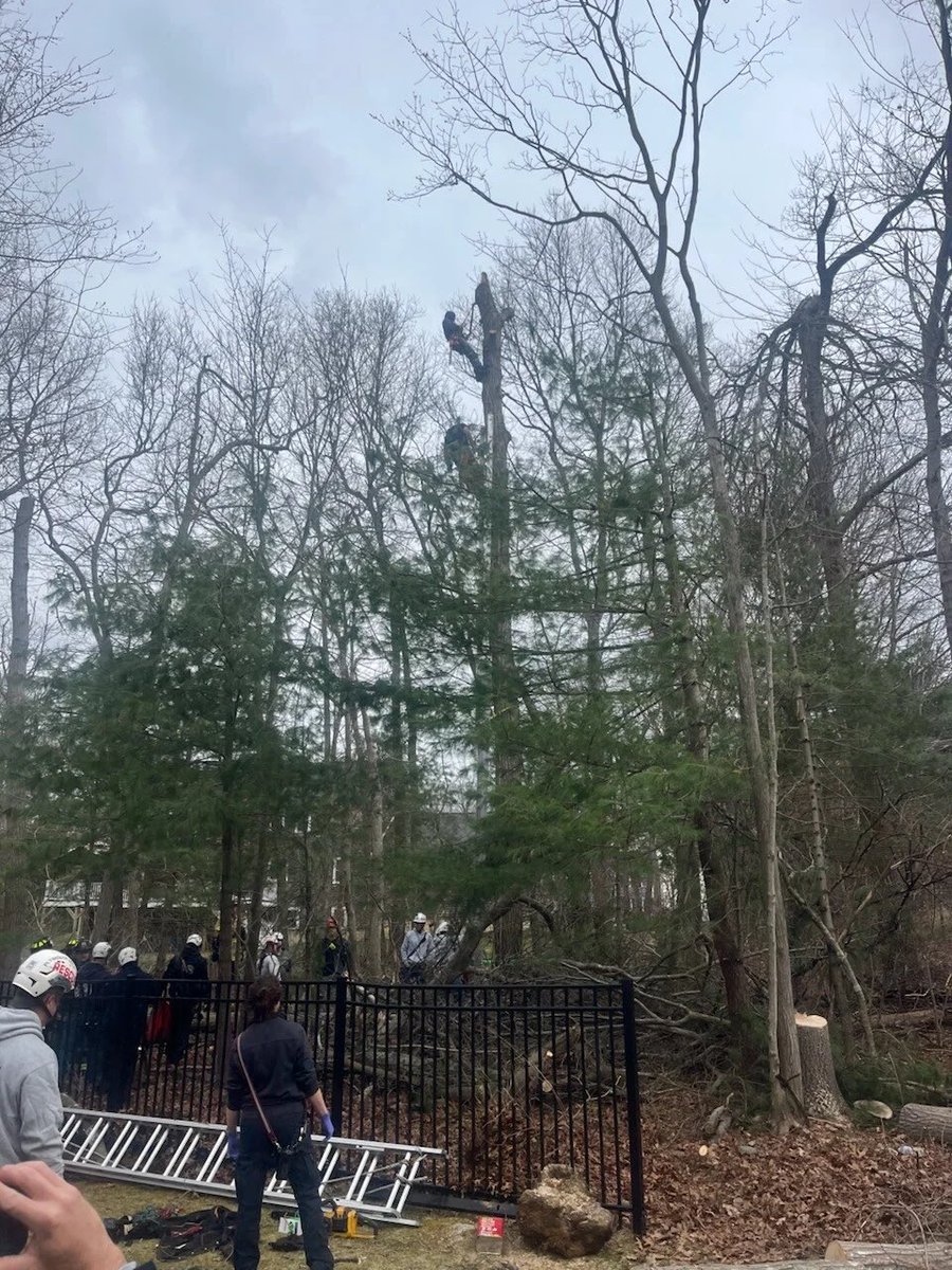 Live Boston News tweet media